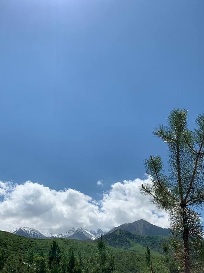Olive Ala-Archa Hotel & Spa Verkhnyaya Alaarcha Εξωτερικό φωτογραφία